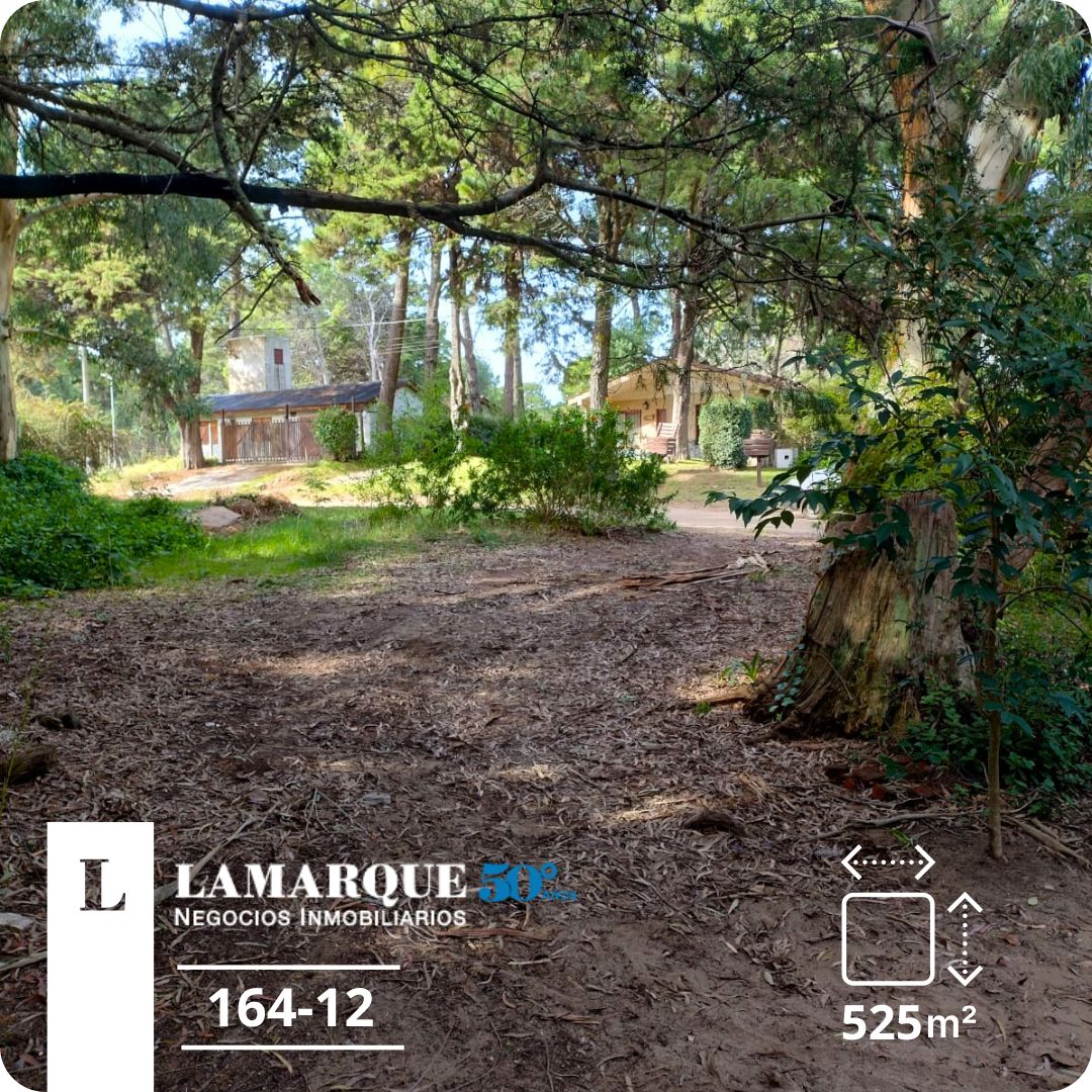 Lamarque